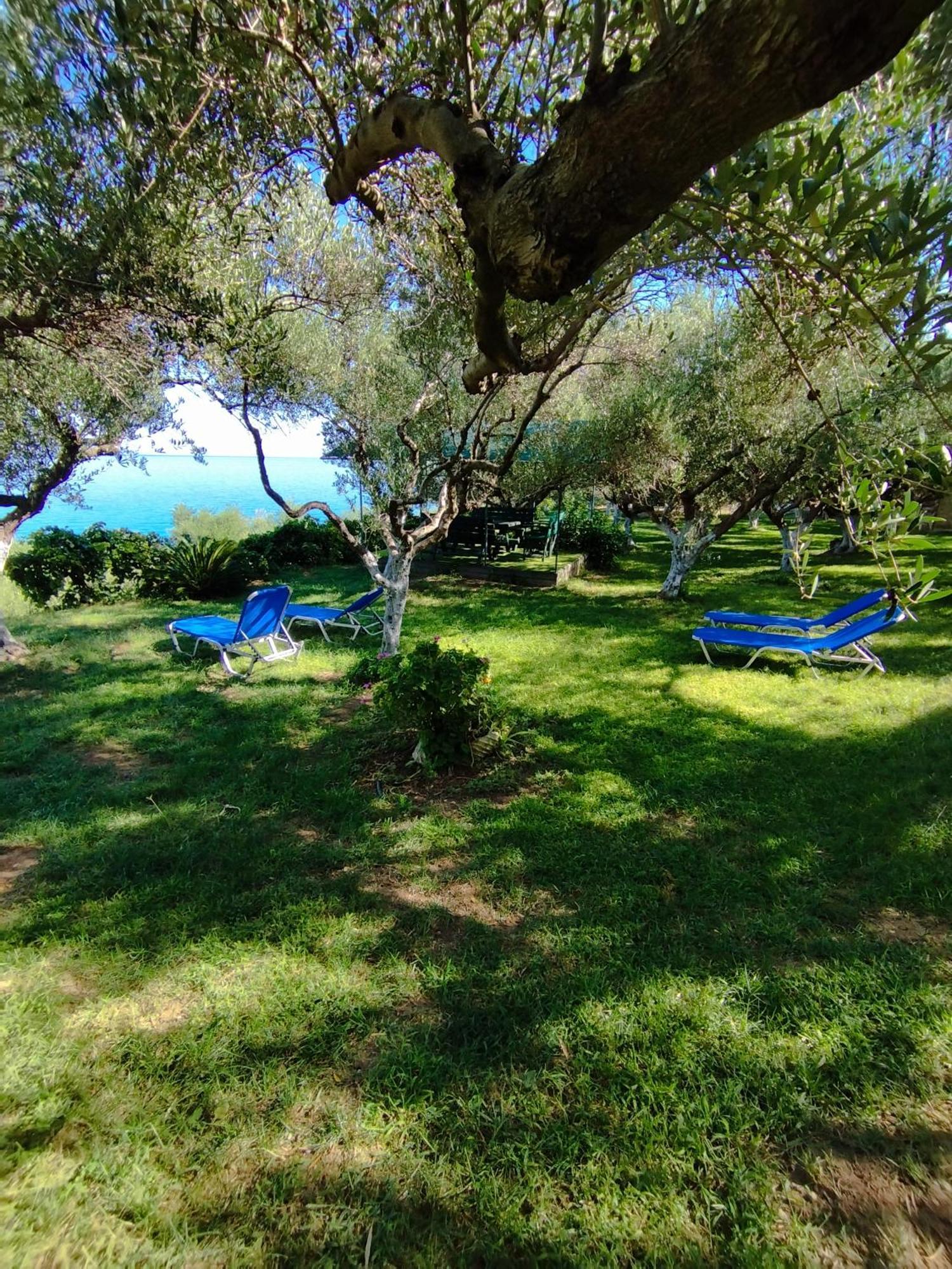 Villa Agia Aikaterini Amoudi Exterior photo