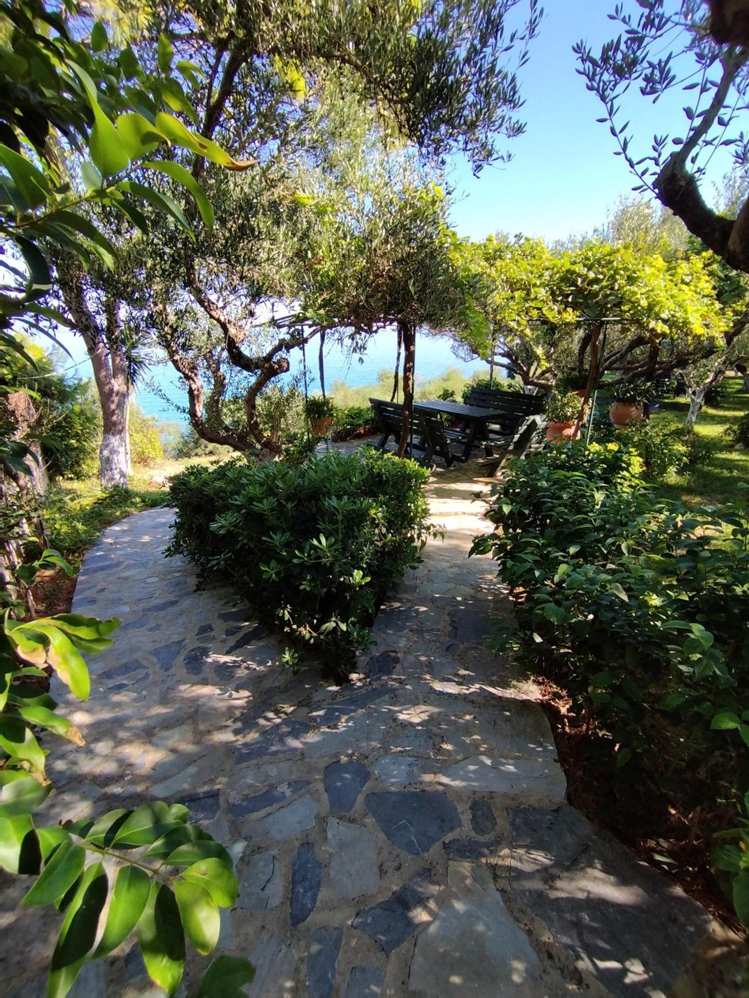 Villa Agia Aikaterini Amoudi Exterior photo