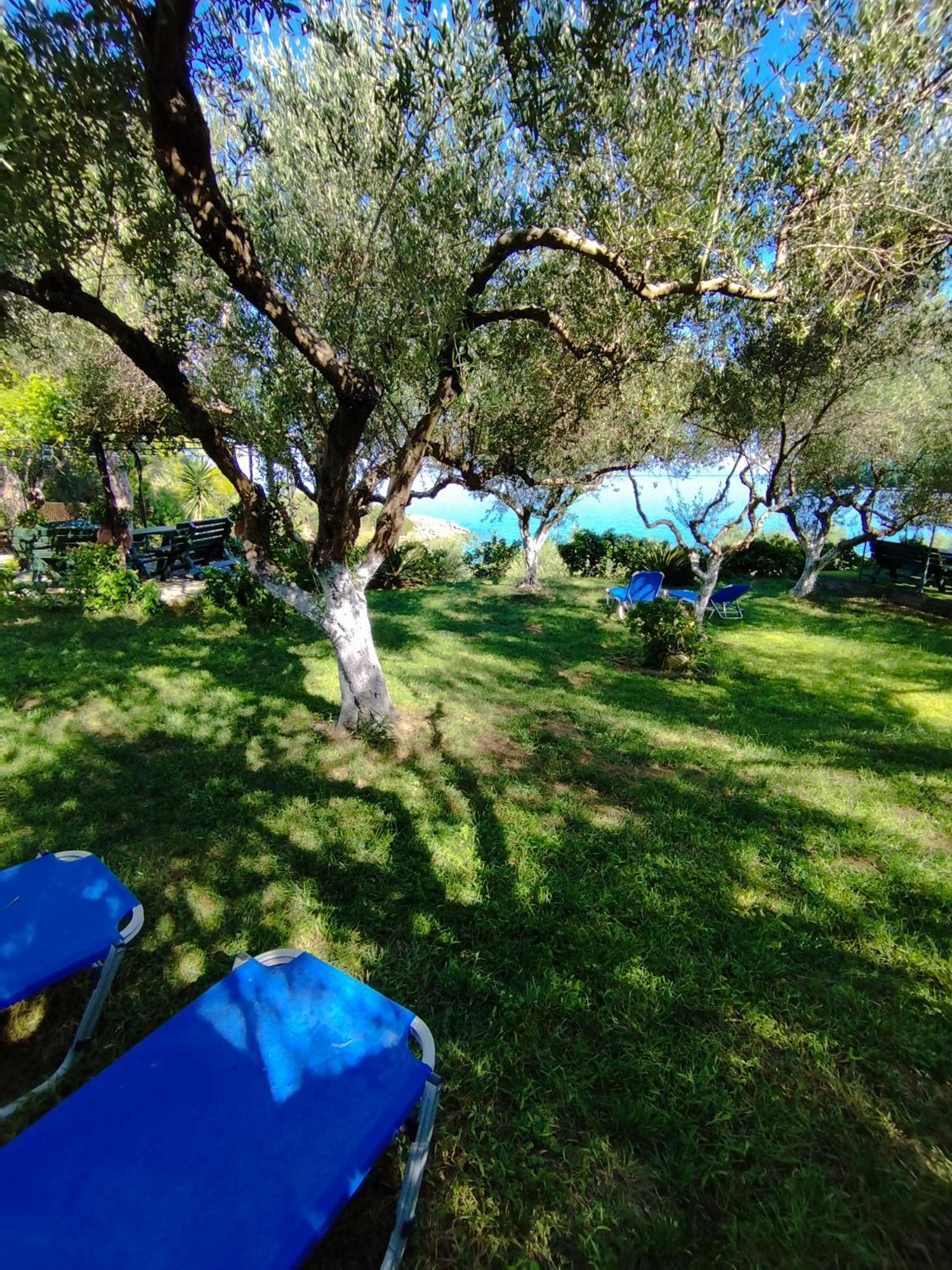 Villa Agia Aikaterini Amoudi Exterior photo