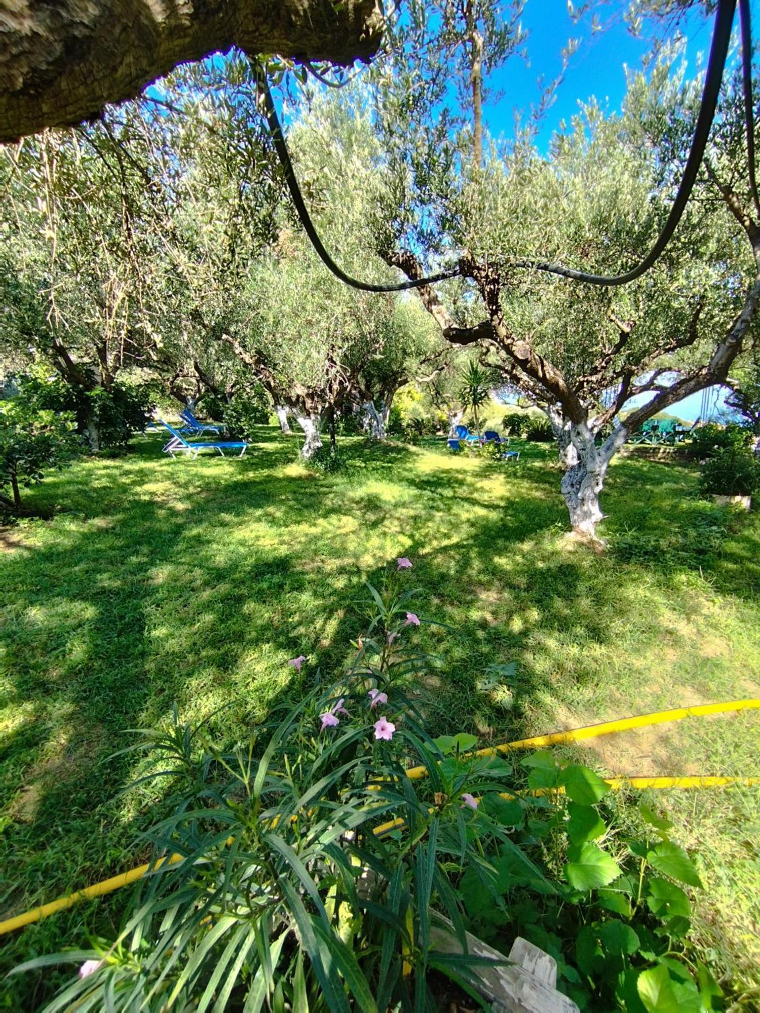 Villa Agia Aikaterini Amoudi Exterior photo