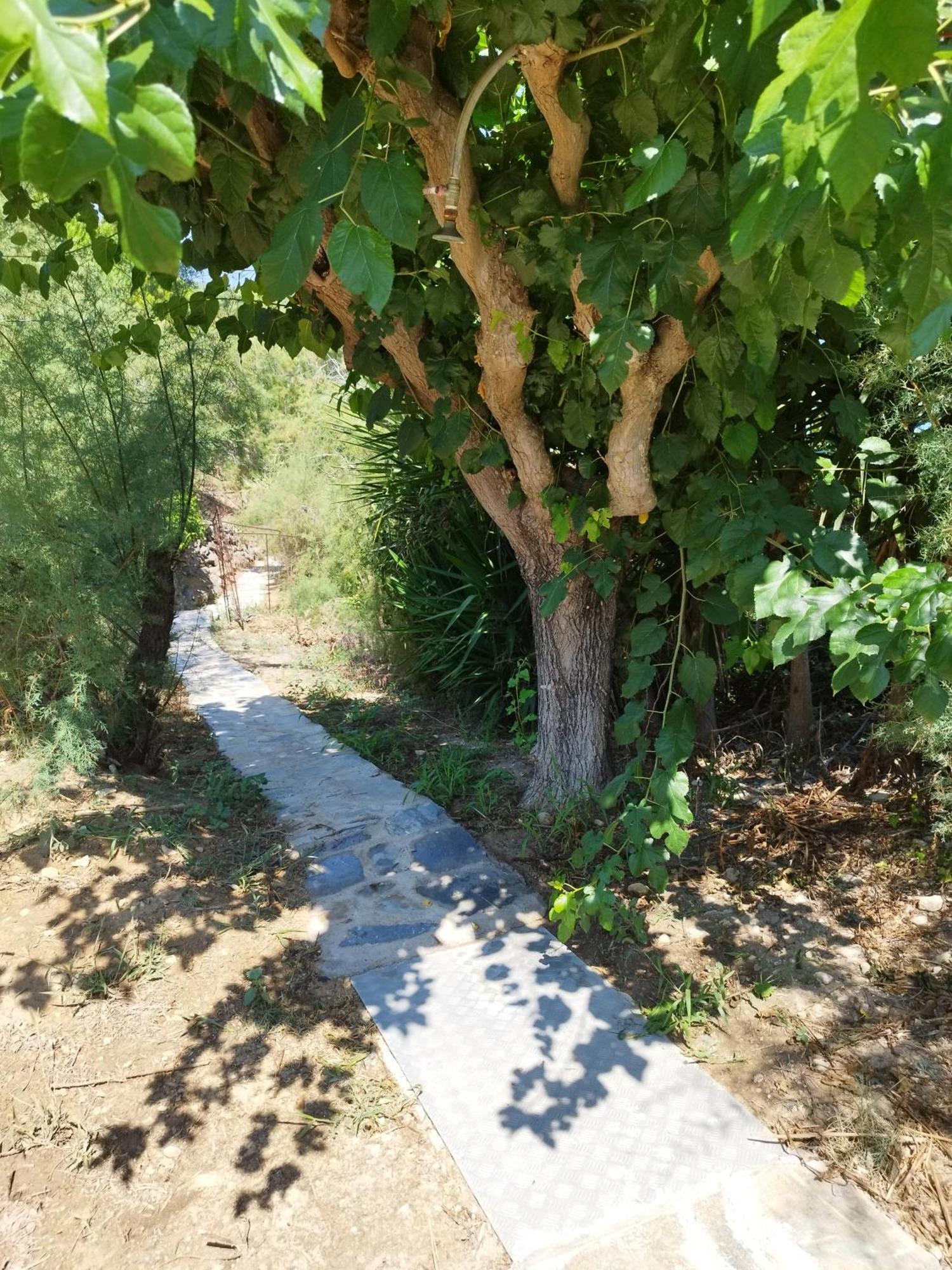 Villa Agia Aikaterini Amoudi Exterior photo