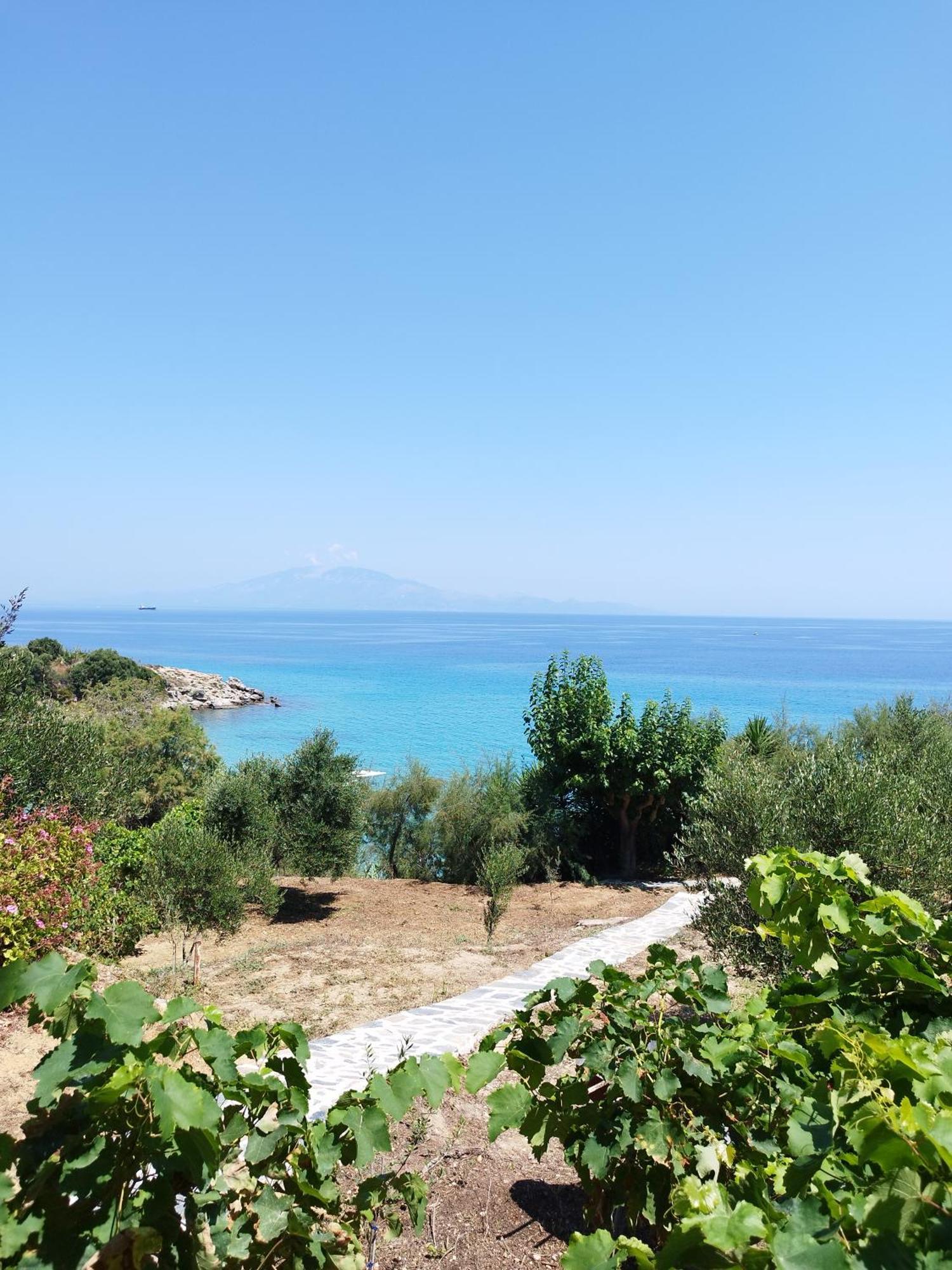 Villa Agia Aikaterini Amoudi Exterior photo